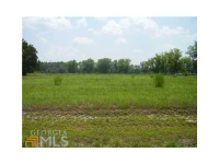 1782 Hwy 21 S, Springfield, GA 31329 