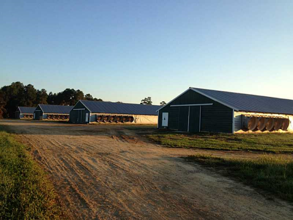 1936 Hickory Head Road, Quitman, GA 31643 