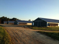 1936 Hickory Head Road, Quitman, GA 31643 