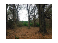 511 Ga Highway 3 North (old Dixie Hwy), Hampton, GA 30228 