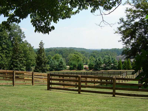 15800 Freemanville Road, Milton, GA 30004 