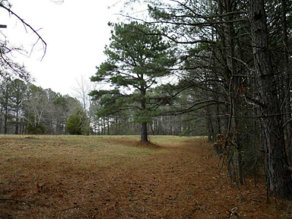 4250 Webb Bridge Road, Alpharetta, GA 30005 