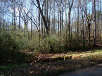 0 Rome Street, Temple, GA 30179 