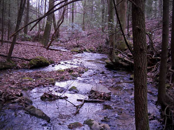 0 Tract #3, Dahlonega, GA 30533 