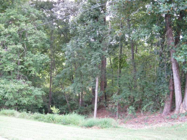 9240 Bayhill Drive, Gainesville, GA 30506 