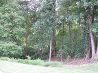 9240 Bayhill Drive, Gainesville, GA 30506 