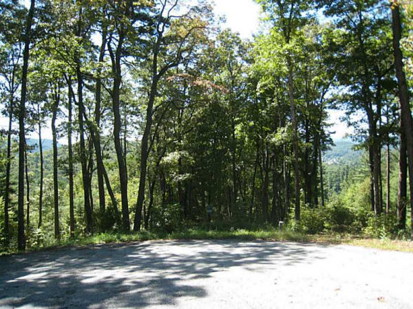 12 Pinnacle Ridge, Clayton, GA 30525 