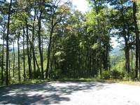 12 Pinnacle Ridge, Clayton, GA 30525 