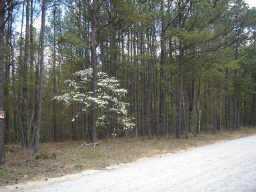 0 Tyson Road Tract C, Villa Rica, GA 30180 