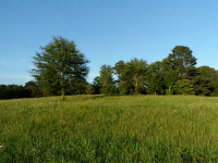 548 Juno Road, Dawsonville, GA 30534 