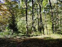 0 Oak Grove Circle, Cumming, GA 30028 