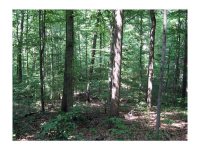 0 Clifton Drive, Dawsonville, GA 30534 