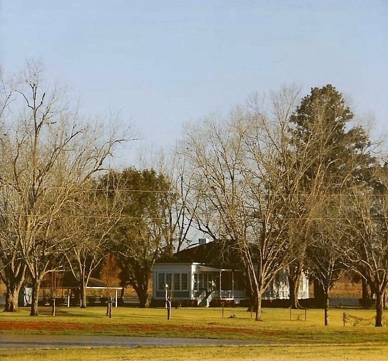 Rt. 1 Box 45, Richland, GA 31825 