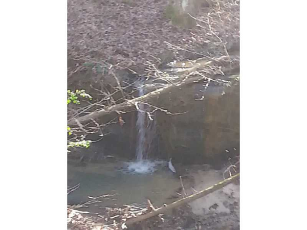 2501 Kelly Bridge Road, Dawsonville, GA 30534 