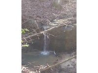 2501 Kelly Bridge Road, Dawsonville, GA 30534 