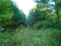 0 Woodland Road, Canton, GA 30114 