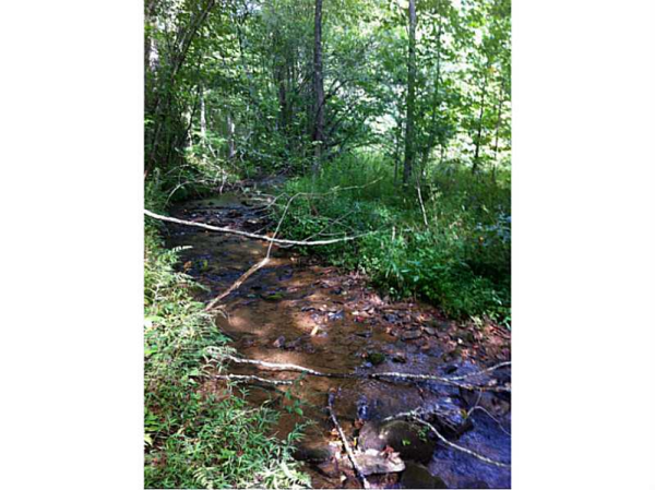 44 Lilly Drive, Dahlonega, GA 30533 