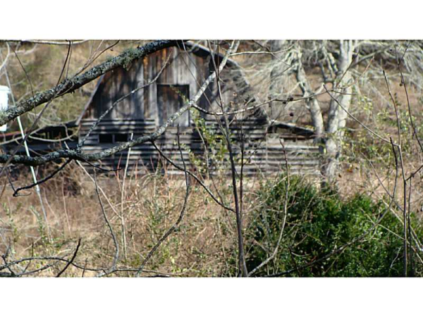 59 Terry Circle, Rabun Gap, GA 30568 