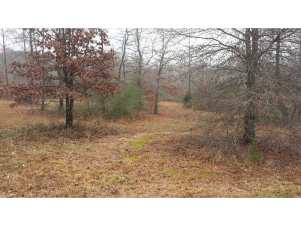 5162 Will Guest Road, Clermont, GA 30527 