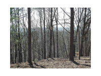 551 Cowart Mountain Trail, Waleska, GA 30183 