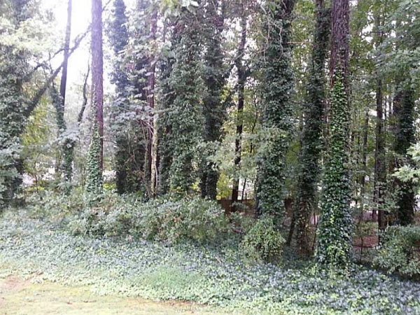 0 Five Point Road, Carrollton, GA 30182 