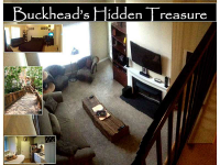 Unit 303 - 424 Lindbergh Drive, Atlanta, GA 30305 