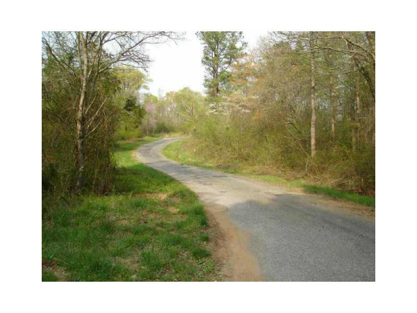 398 N Mud Creek Road, Temple, GA 30179 