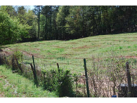 0 Sw White Street, Suwanee, GA 30024 