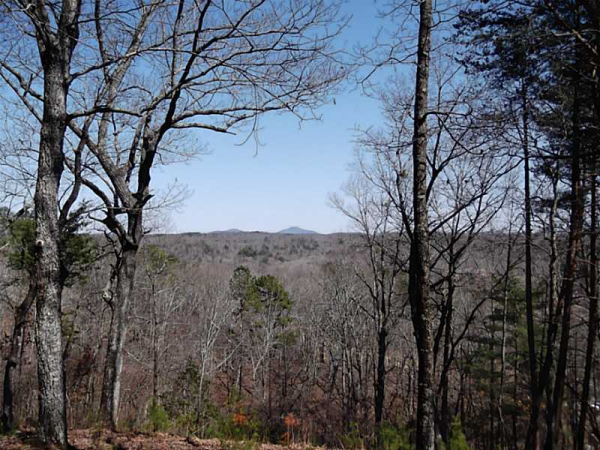 1005 Bear Paw Ridge, Dahlonega, GA 30533 