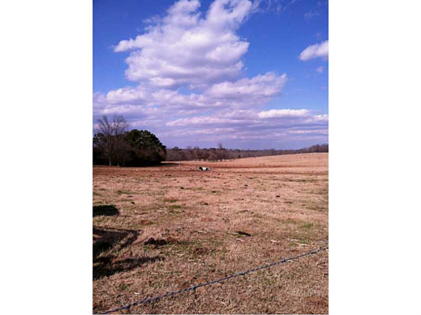 2451 Broughton Road, Newborn, GA 30056 