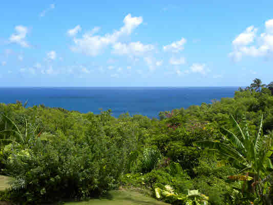 3647 Kaweonui Road, Princeville, HI 96722 