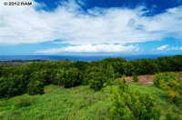 217 Omalu PL, Lahaina, HI 96761 