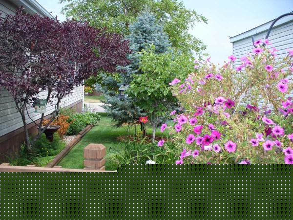 605 Beach View Drive, Iowa City, IA 52246 