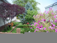 605 Beach View Drive, Iowa City, IA 52246 