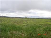 Parcel 7 28378 River Ridge Rd, Wilder, ID 83676 
