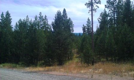 LOT 51 WHISPERING PL, CASCADE, ID 83611 