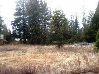 41 N LAKE LN, DONNELLY, ID 83615 