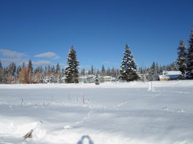 Lot 34, Block 2, McCall, ID 83638 