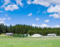 15495 N RIMROCK RD, Hayden, ID 15495 