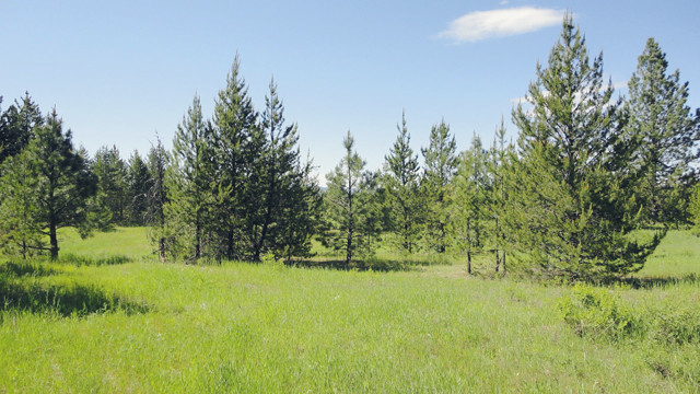 NNA N Sand Creek Drive, Spirit Lake, ID 83869 