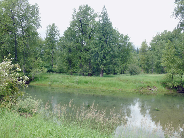 Lt.11 CdA River Rd., Kingston, ID 83839 