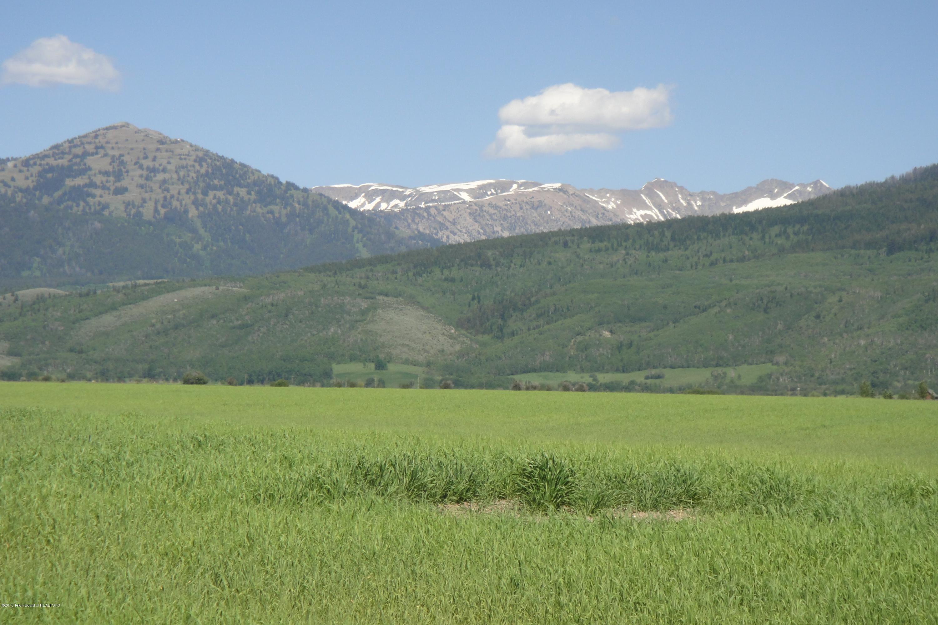 636 CREEK BOTTOM TRL, Driggs, ID 83422 