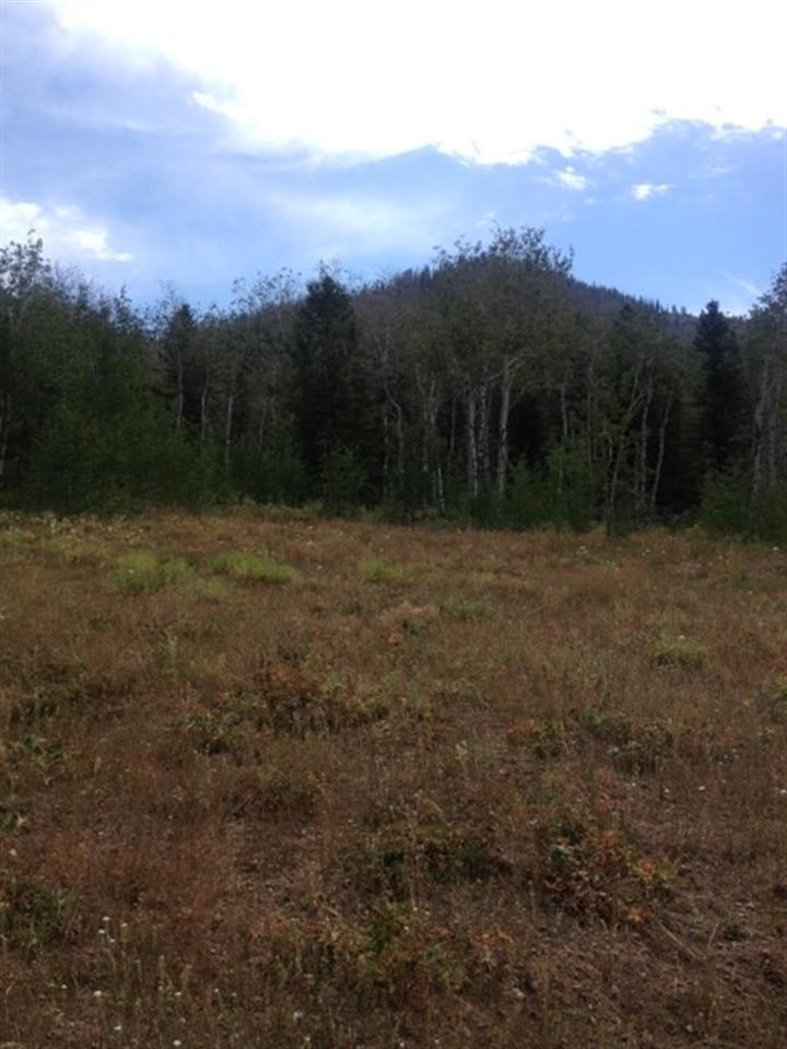 4212 Mountain View Drive, Island Park, ID 83429 