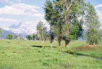 3230 CACHE VISTA DRIVE, Tetonia, ID 83452 