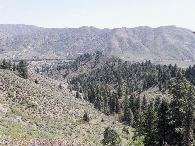 TBD Rocky Canyon Road, Boise, ID 83702 