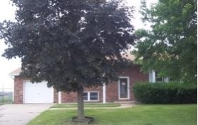 833 SAINT BARTHOLOM, CAHOKIA, IL 62206 