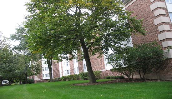 225 Lake Boulevard #537, Buffalo Grove, IL 60089 