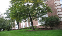 225 Lake Boulevard #537, Buffalo Grove, IL 60089 