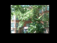 1356 Hyde Park Blvd,1, Chicago, IL 60615 