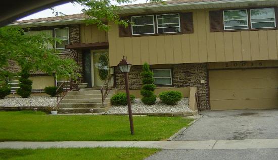 20036 Arroyo Avenue, Lynwood, IL 60411 